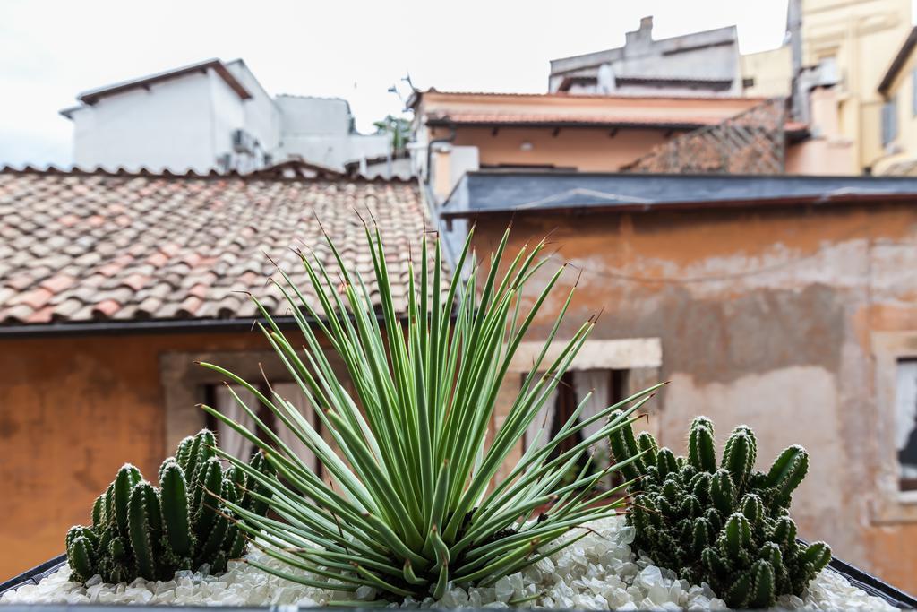 Colosseo Luxury Apartment Rome